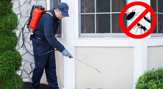 Alpu Karınca İlaçlama böcek ilaçlama ve haşere kontrolü — ilaclama-tr.com